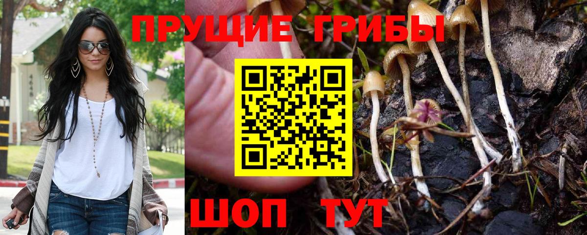 Псилоцибиновые грибы ЛСД Топки