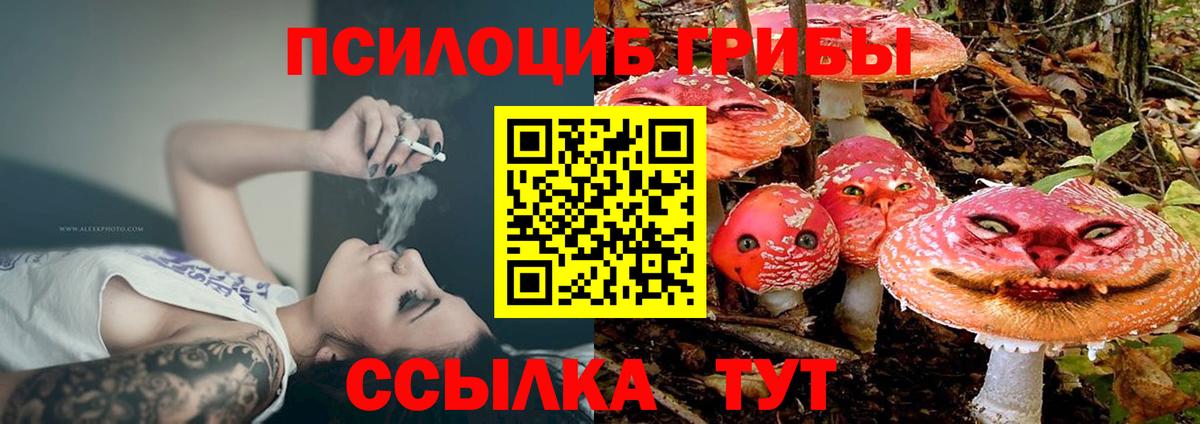 Топки  Галлюциногенные грибы мухоморы  Вход с VPN  Псилоцибиновые грибы ЛСД 